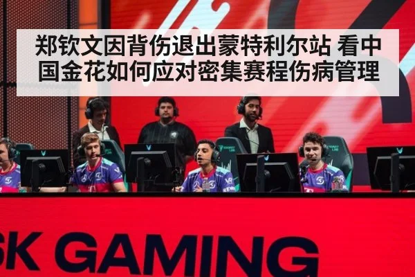 郑钦文因背伤退出蒙特利尔站 看中国金花如何应对密集赛程伤病管理