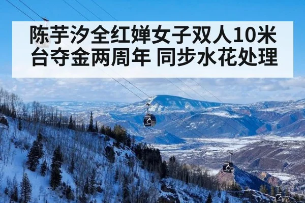陈芋汐全红婵女子双人10米台夺金两周年 同步水花处理